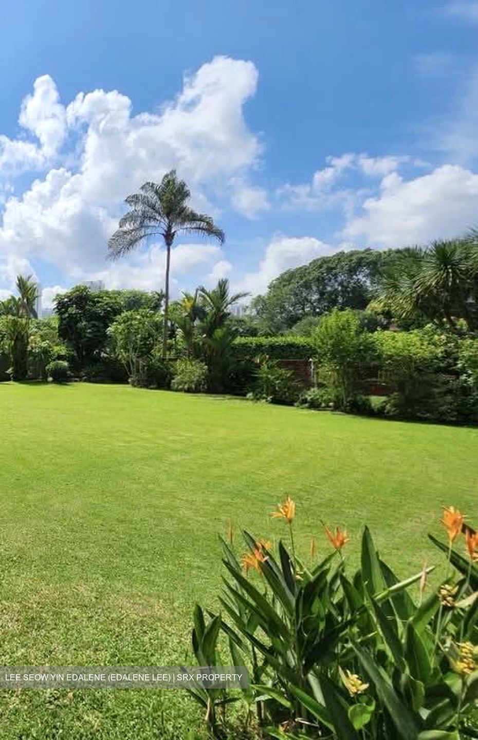 Caldecott Hill Estate (D11), Detached #623010991